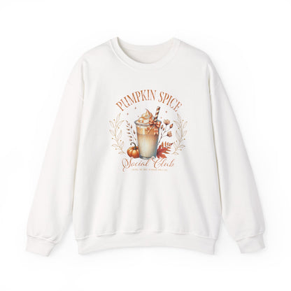 Pumpkin Spice Sweatshirt